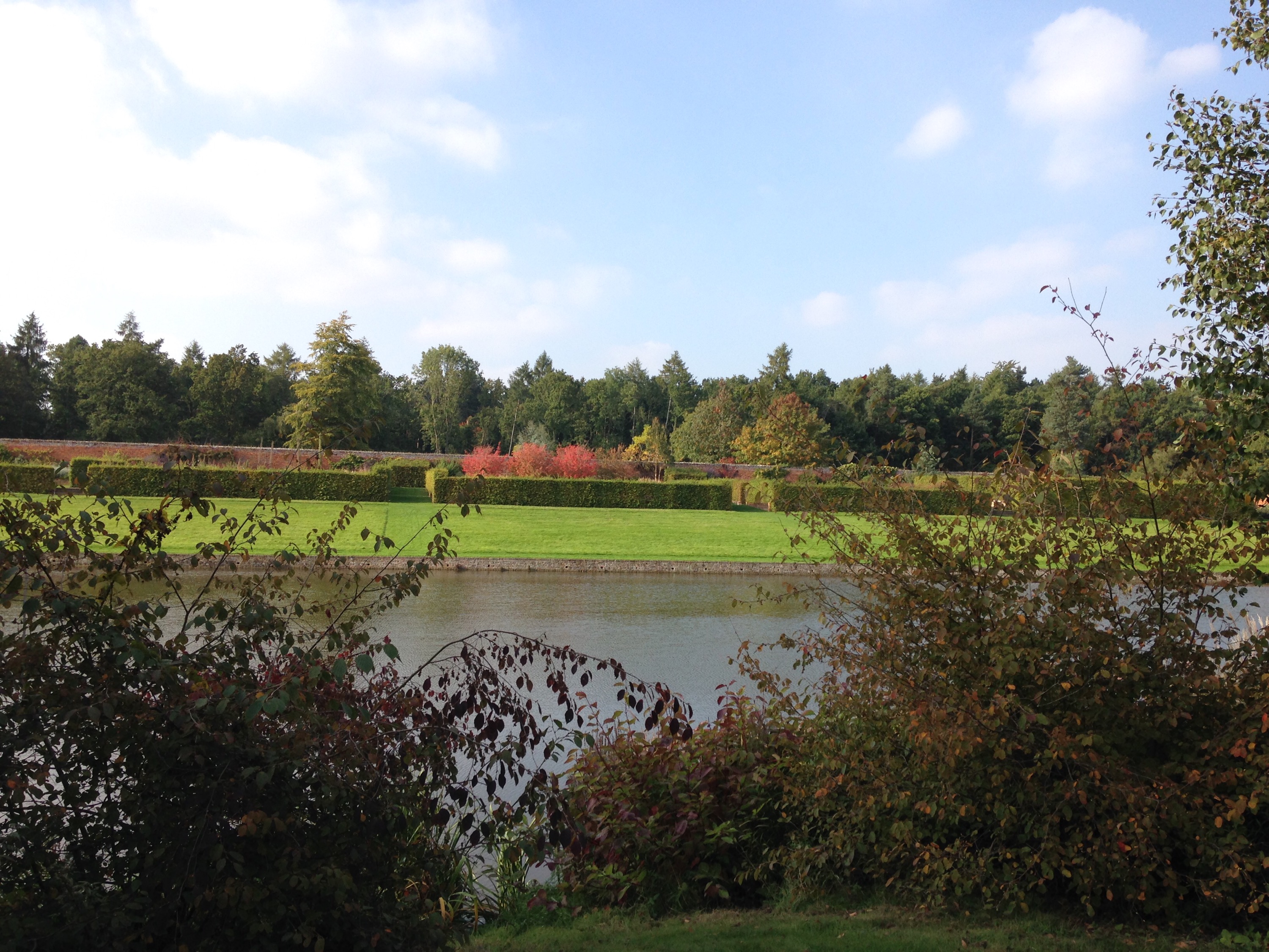 Learn About Chinese Tea with CLI, image size:3000x2250